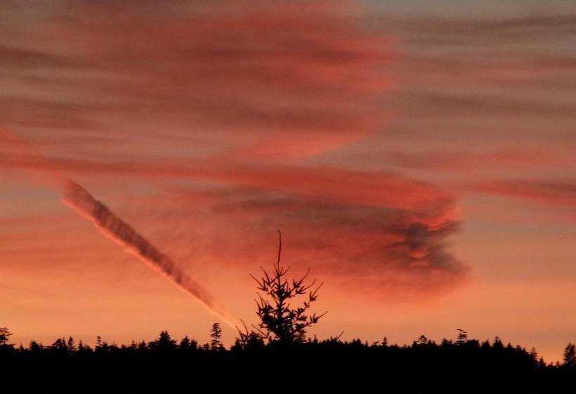 Hotel Panorama Bed And Breakfast | Duncan | British Columbia | Canada 9