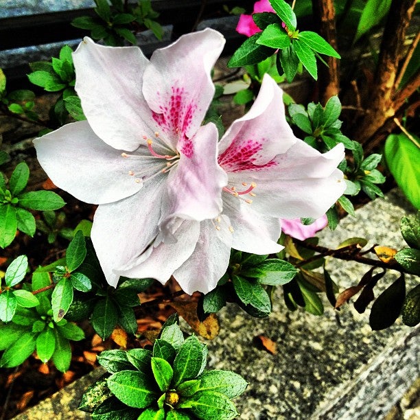 New Star Residence  | São Paulo | São Paulo | Brasil 4