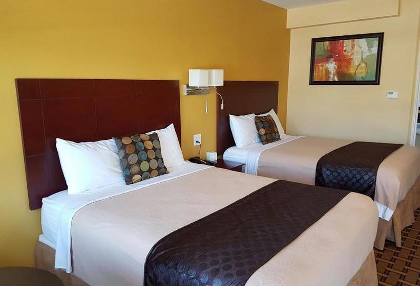 Hotel Fox Motor Inn | Belleville | Ontario | Canada 14