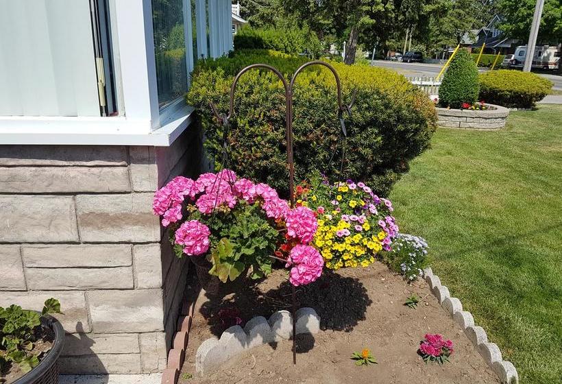 Hotel Fox Motor Inn | Belleville | Ontario | Canada 5