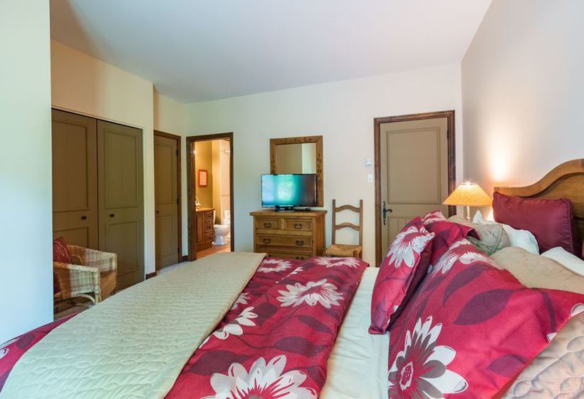 Algonquin - Rvmt | Mont Tremblant | Quebec | Canada 3