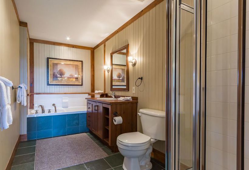 L'Altitude Rvmt | Mont Tremblant | Quebec | Canada 14