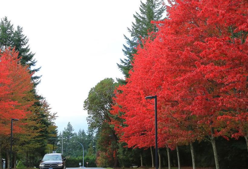 Diplomat Motel | Nanaimo | British Columbia | Canada 13