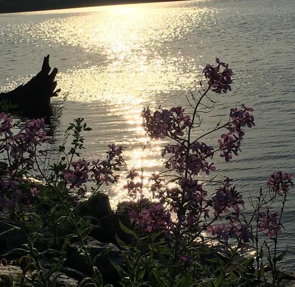 Lord Nelson Motel | Kingston | Ontario | Canada 7