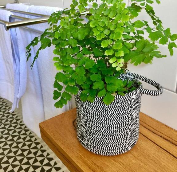 Sunny Side Up B&b | Rye | Victoria | Australia 12