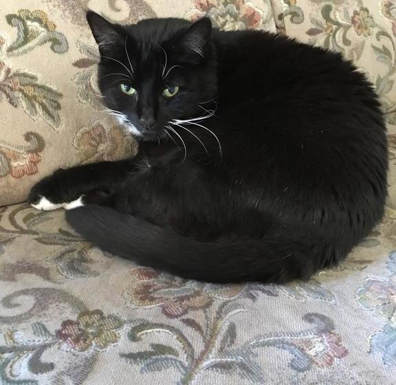 Hotel Warrnambool Beach Backpackers | Warrnambool | Victoria | Australia 11