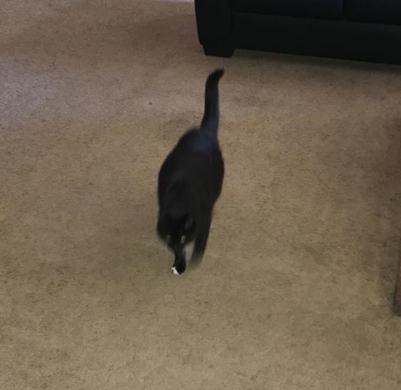 Hotel Warrnambool Beach Backpackers | Warrnambool | Victoria | Australia 13