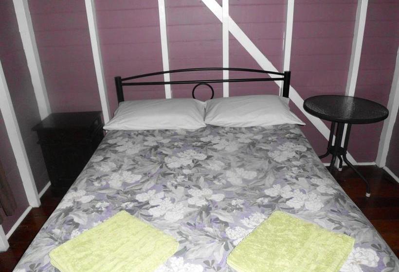 Hotel Gecko's Backpackers Cairns | Cairns | Queensland | Australia 11