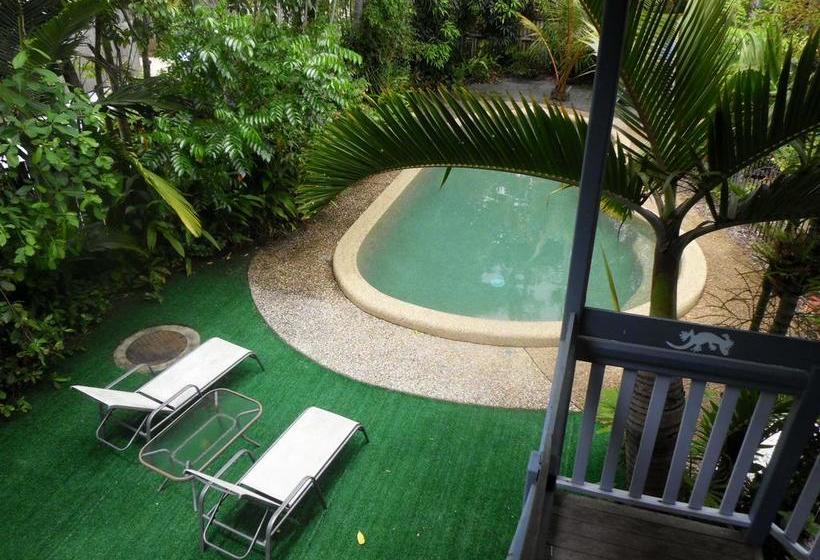 Hotel Gecko's Backpackers Cairns | Cairns | Queensland | Australia 15