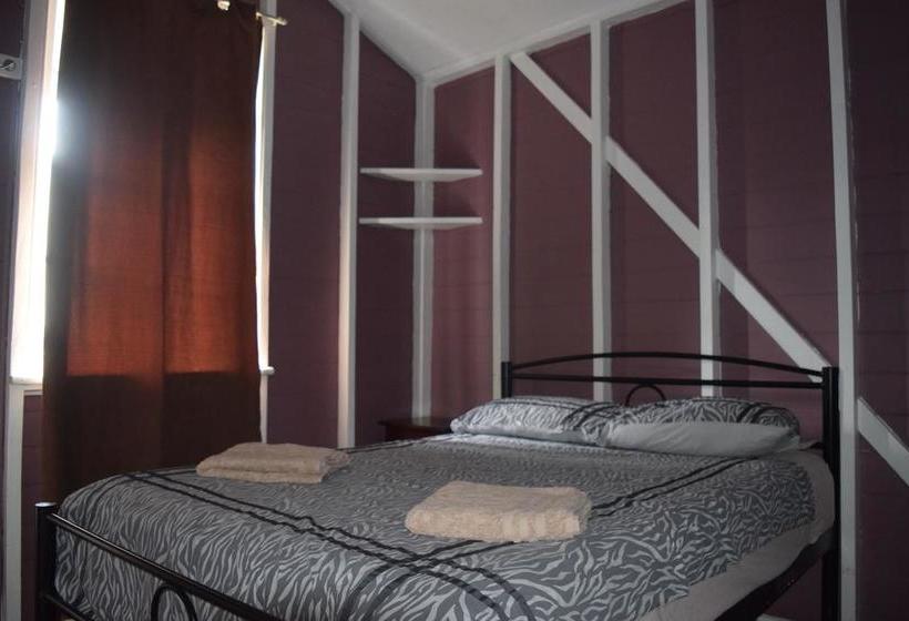 Hotel Gecko's Backpackers Cairns | Cairns | Queensland | Australia 17