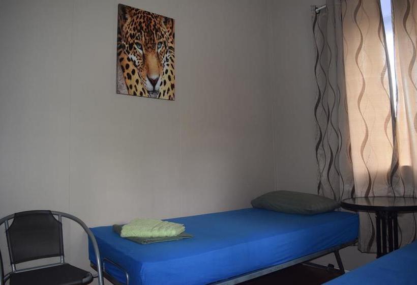 Hotel Gecko's Backpackers Cairns | Cairns | Queensland | Australia 18