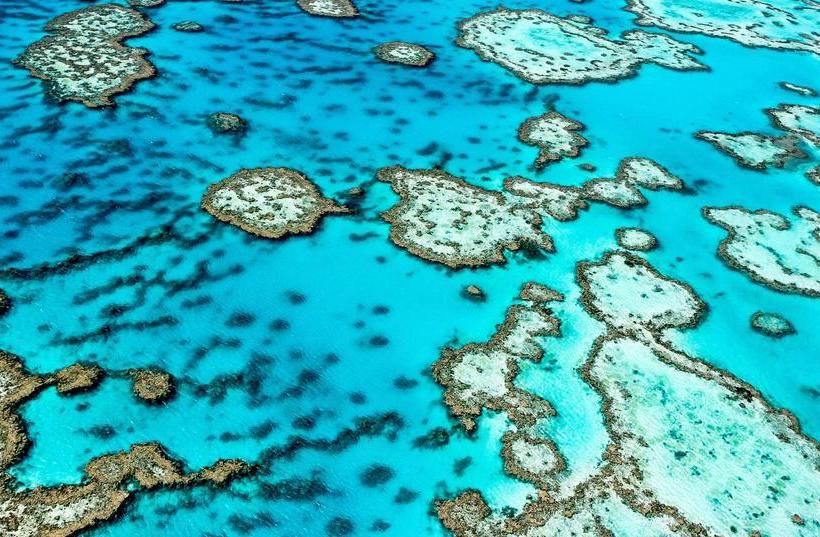 Nautilus Bed And Breakfast | Mission Beach | Queensland | Australia 8