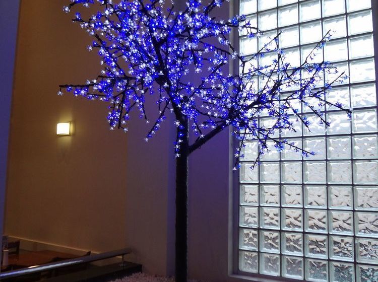 Hotel Amaroo | Dubbo | New South Wales | Australia 17