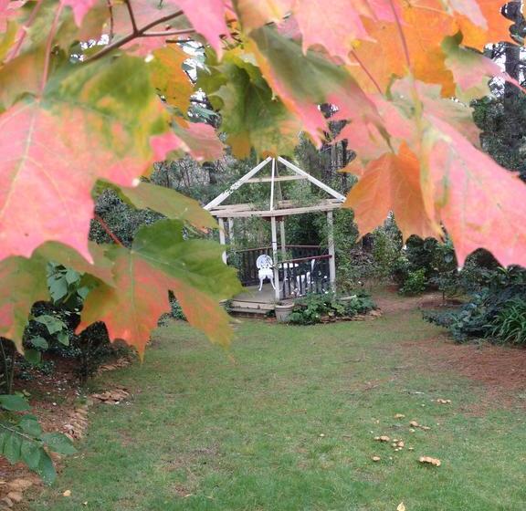 Bethany Manor Bed & Breakfast | Leura | New South Wales | Australia 7