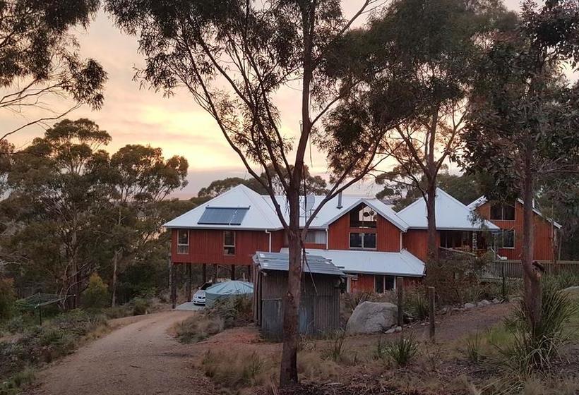 Hotel Bed In The Tree Tops B&b | Forest Hill | Victoria | Australia 4