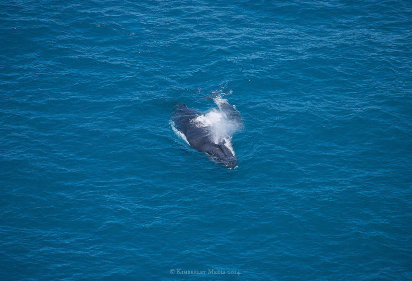 Apartments Located at Blue Seas Resort | Cable Beach | Western Australia | Australia 15