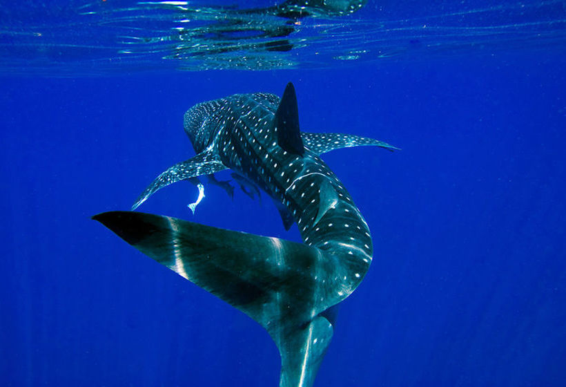 Apartments Located at Blue Seas Resort | Cable Beach | Western Australia | Australia 17