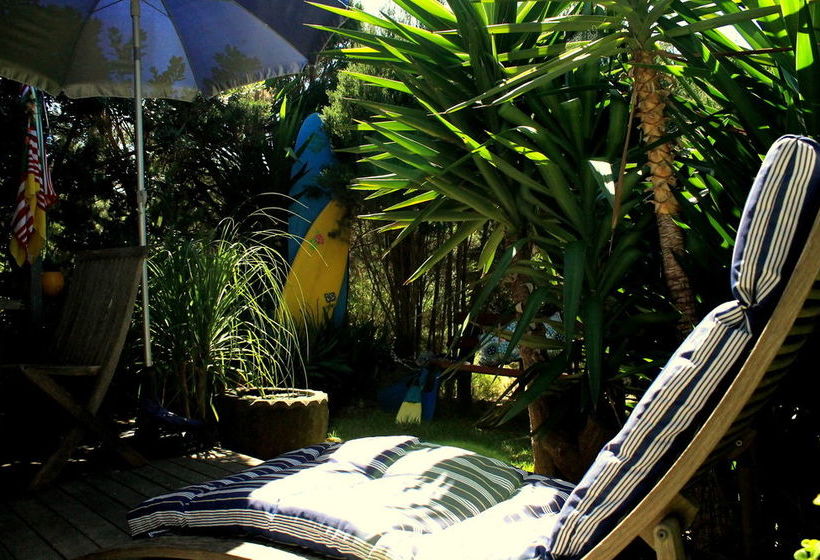 Beachwood Studio | Smiths Beach | Victoria | Australia 20