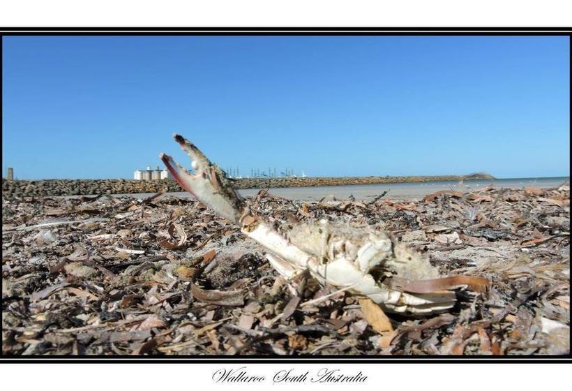 Hotel Copper Coast | Wallaroo | South Australia | Australia 5