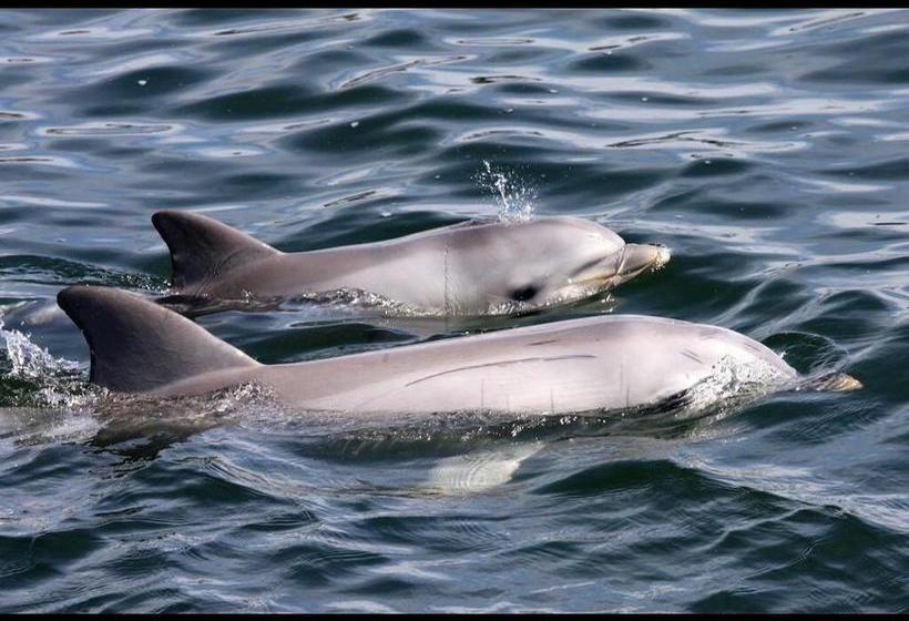 Hostel Port Adelaide Backpackers | North Adelaide | South Australia | Australia 2