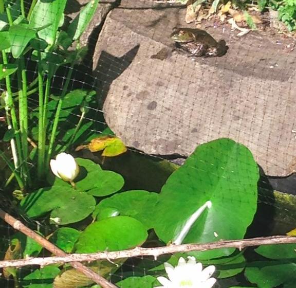 Hotel Holmesdale House | Duncan | British Columbia | Canada 9