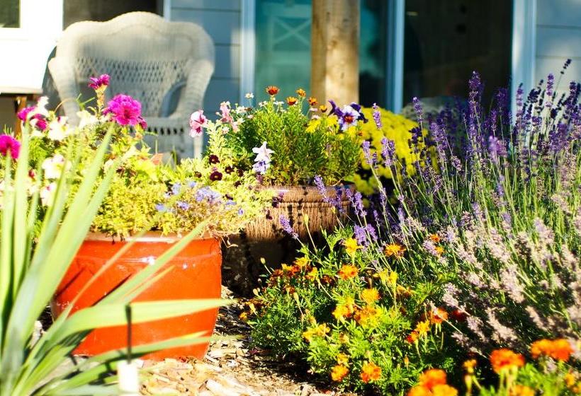 Bed and Breakfast Annarthur Guest House | Nanaimo | British Columbia | Canada 7