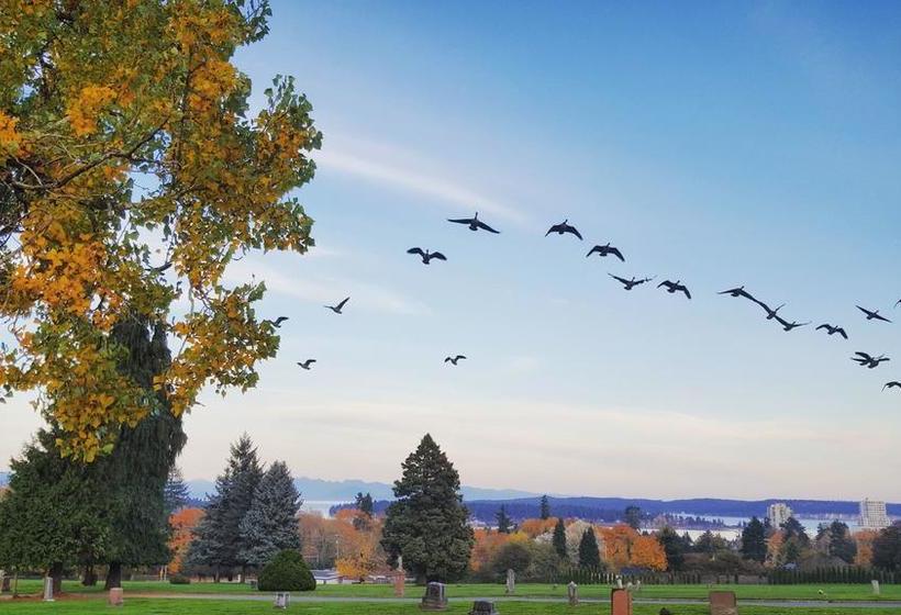 Bed and Breakfast Annarthur Guest House | Nanaimo | British Columbia | Canada 8