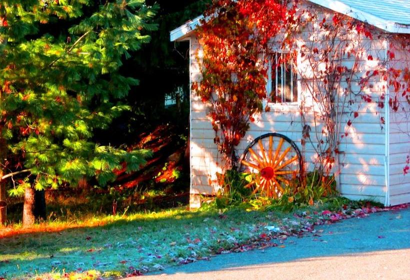 Motel Alexandrin | Saint Georges | Quebec | Canada 13