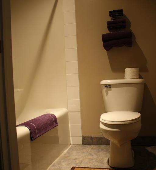 Motel Lamplighter Inn | Three Hills | Alberta | Canada 12