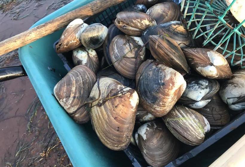 Resort Blue Crest Cottages | North Rustico | Prince Edward Island | Canada 4