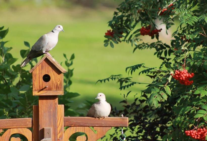 Remo Ridge Bed & Breakfast | Terrace | British Columbia | Canada 12