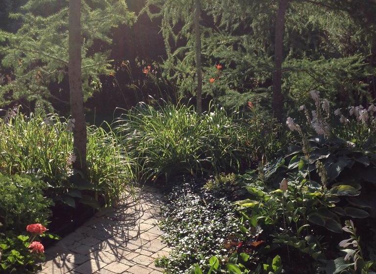 Modern Bungalow Bed And Breakfast | Belleville | Ontario | Canada 1