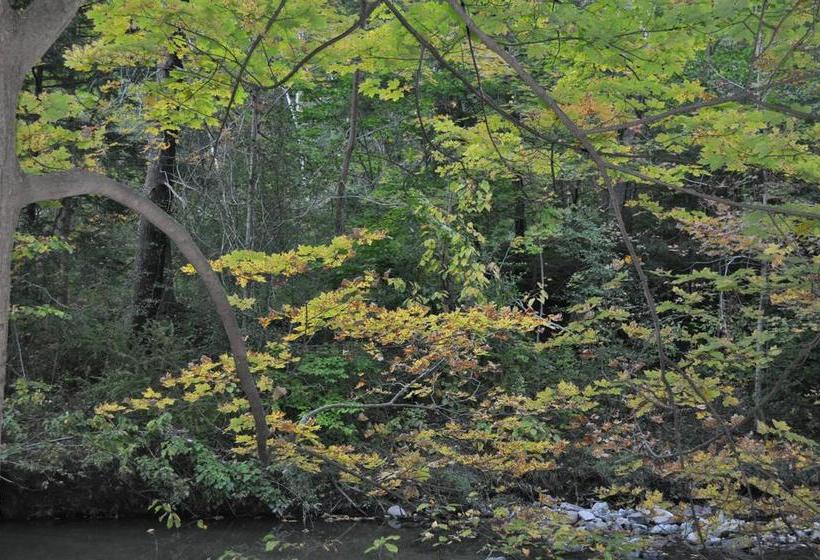Northland Motel | Washago | Ontario | Canada 11