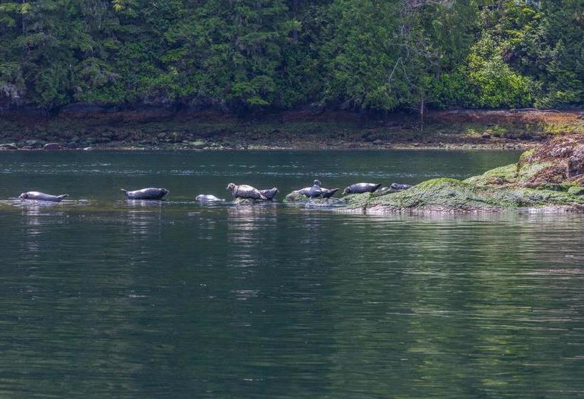 Motel Bathgate Marina | Egmont | British Columbia | Canada 1