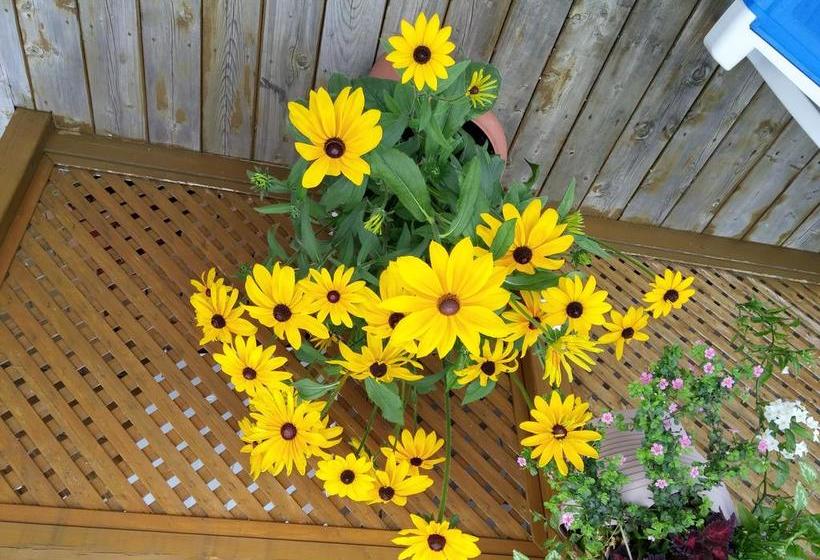 L Escogriffe B&b  Men Only | Montreal | Quebec | Canada 10