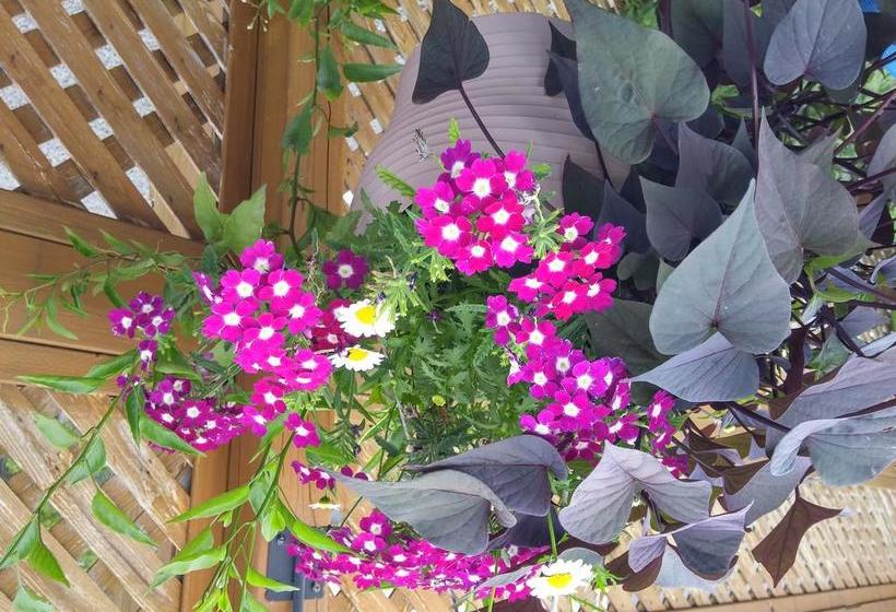 L Escogriffe B&b  Men Only | Montreal | Quebec | Canada 11