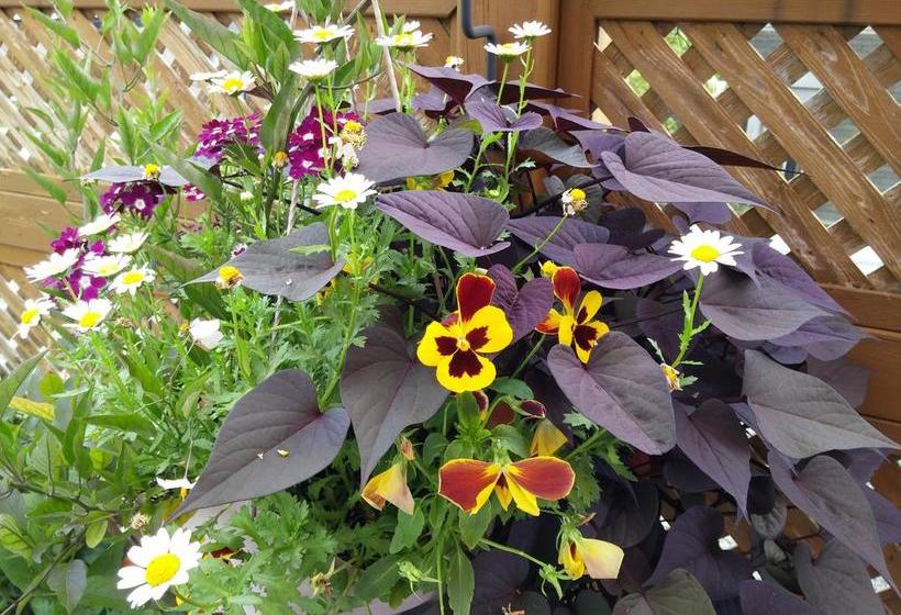 L Escogriffe B&b  Men Only | Montreal | Quebec | Canada 13