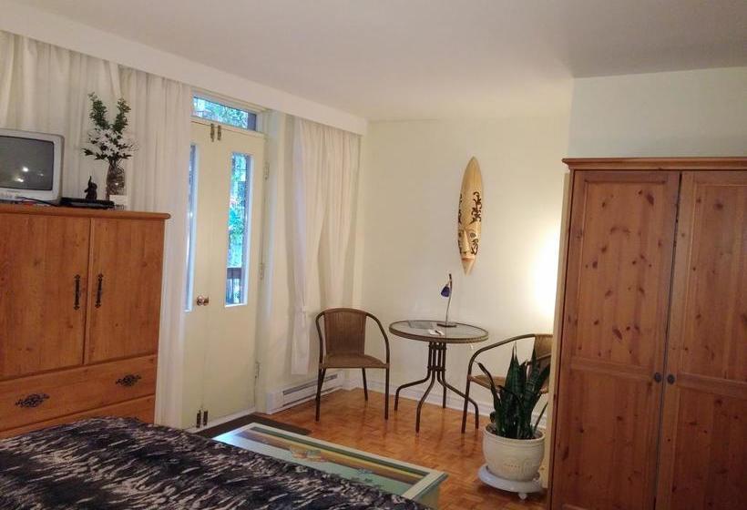 L Escogriffe B&b  Men Only | Montreal | Quebec | Canada 7