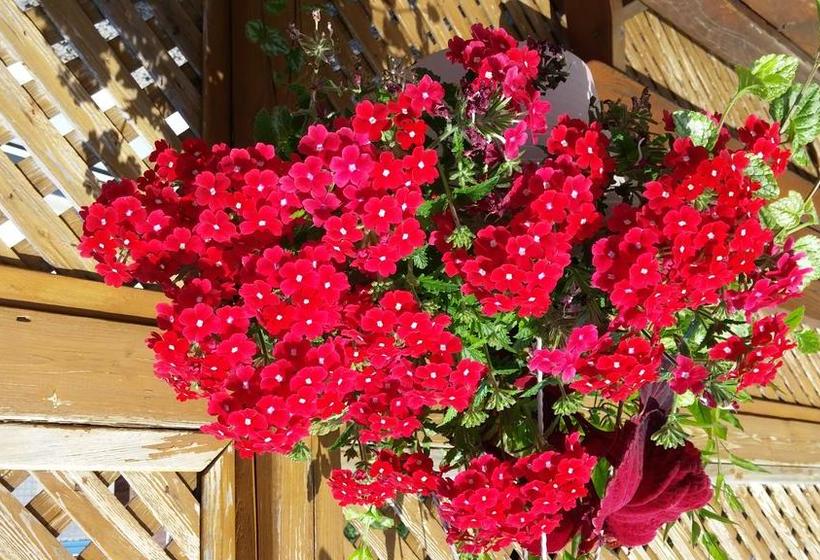 L Escogriffe B&b  Men Only | Montreal | Quebec | Canada 9