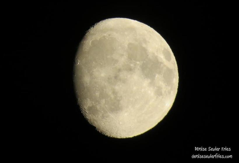 Above Tide Motel | Campbell River | British Columbia | Canada 10