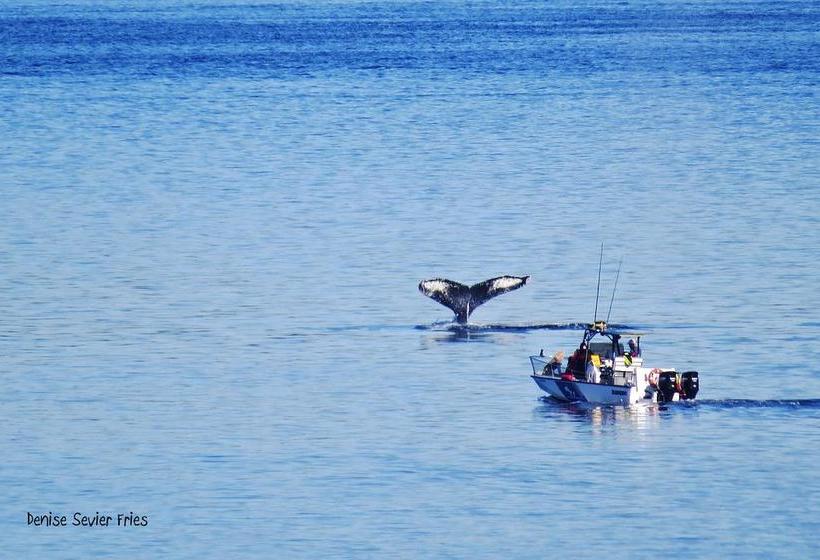 Above Tide Motel | Campbell River | British Columbia | Canada 3