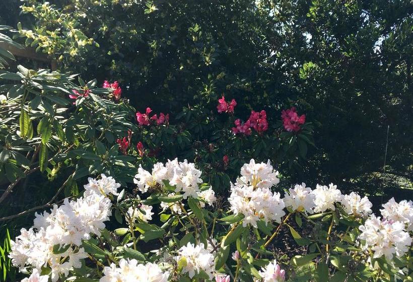 Bed and Breakfast Belle Maison Auprès De La Mer | Sidney | British Columbia | Canada 10