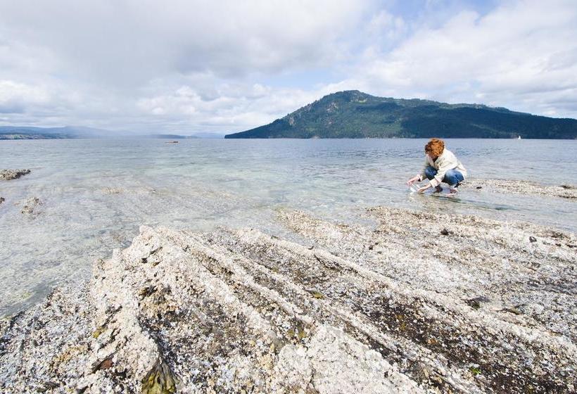 Bed and Breakfast Belle Maison Auprès De La Mer | Sidney | British Columbia | Canada 9