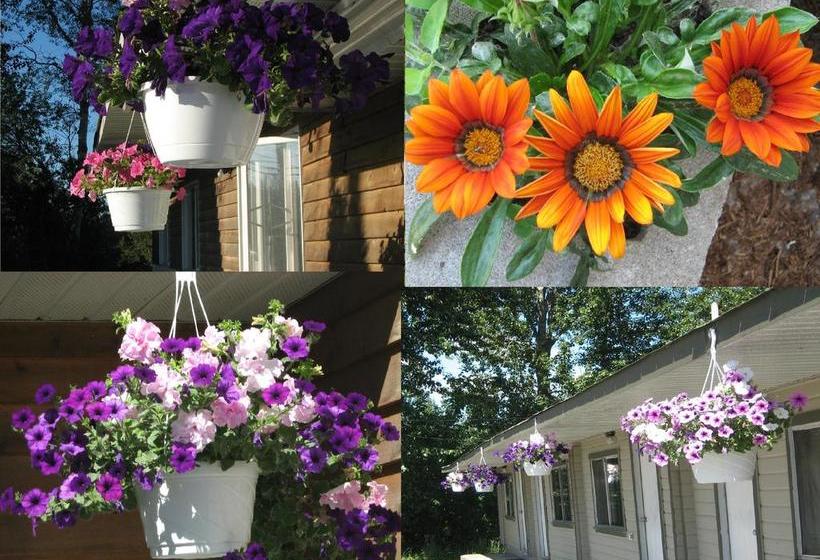 Sylvan Motel | Quesnel | British Columbia | Canada 2