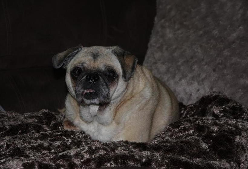 O Brien House Bed And Breakfast | Kingston | Ontario | Canada 11