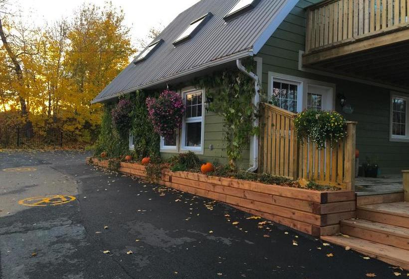 Hotel Auberge Sous Les Arbres | Gaspe | Quebec | Canada 1