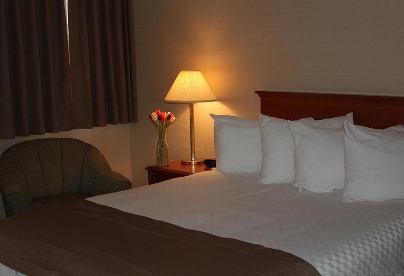 Hotel Mount Pearl | St. John'S | Newfoundland and Labrador | Canada 11