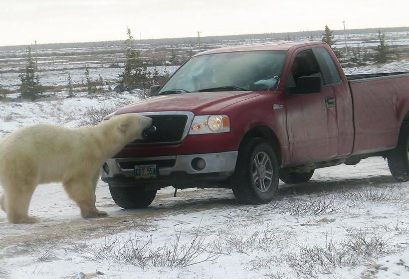 Churchill Hotel And Guesthouse | Churchill | Manitoba | Canadá 4