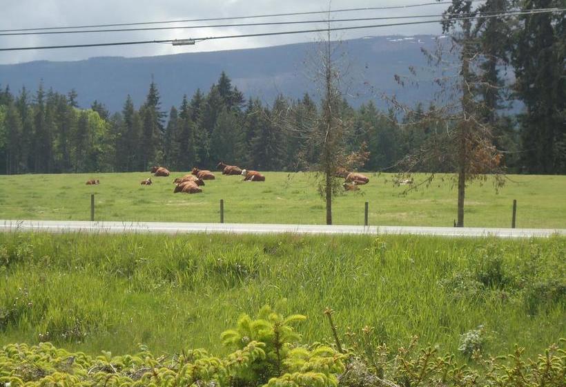 Cedar Song B&b | Parksville | British Columbia | Canada 16