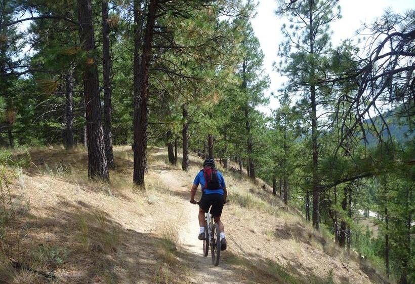 St Marys River B&b | Cranbrook | British Columbia | Canada 20